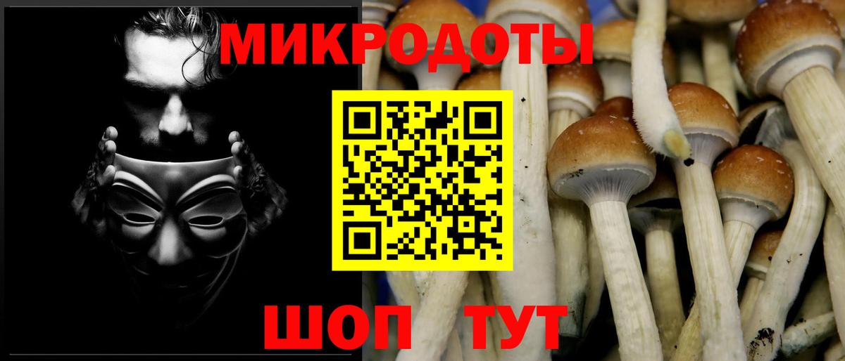 Кинель  Галлюциногенные грибы Psilocybe  Вход с VPN  Псилоцибиновые грибы Psilocybine cubensis 